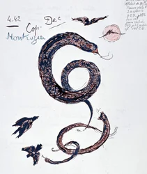Serpentes - Desenho de Paul Valéry
