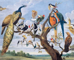 Concerto de aves, por Paul de Vos (cerca de 1591-1678), Holanda