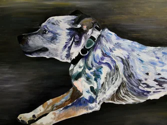 A corrida do Blue Dog