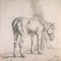 Um Cavalo Velho (giz preto sobre papel)