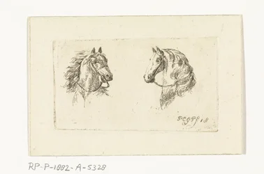 Duas cabeças de cavalo