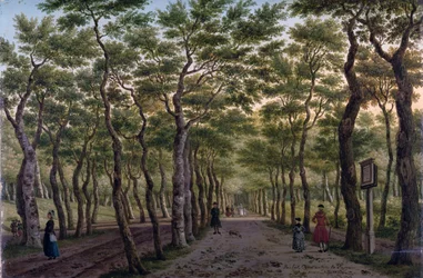 O Herepad no Haagse Bos