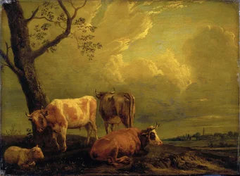 Gado bovino e ovelhas