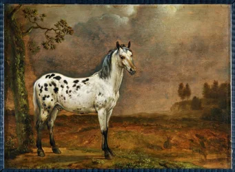 O cavalo malhado