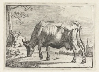 Vaca de pasto
O Livro dos Touros (título da série)