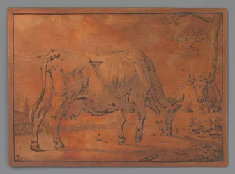 Vaca de pasto