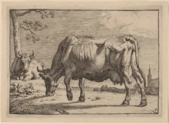Vaca pastando