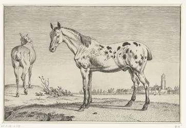O cavalo ancorado Cavalos (título da série)