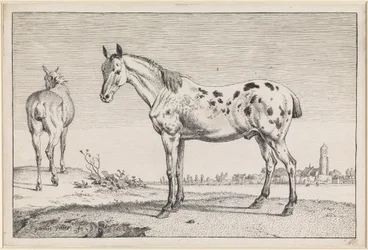 O cavalo de cauda cortada