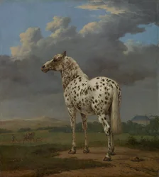 Cavalo malhado, c. 1654