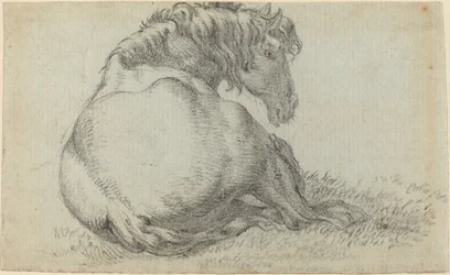 Cavalo de descanso