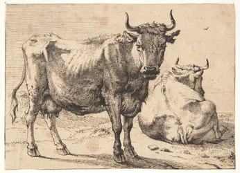 Vaca em pé e deitada