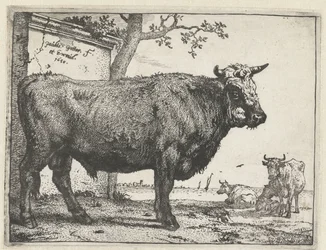 Touro
O Livro dos Touros (título da série)