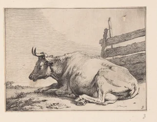 A vaca deitada junto a uma vedação, de Vários bois e vacas