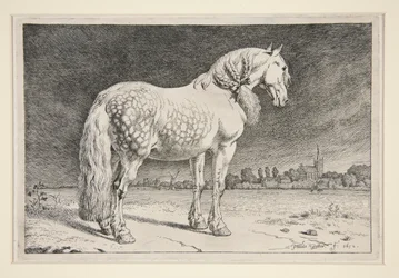 O Cavalo de Friesland