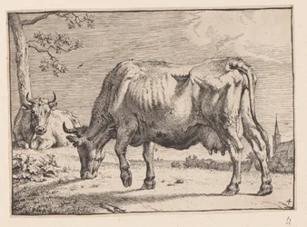 A vaca de pasto, de Vários bois e vacas