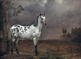 O Cavalo Malhado