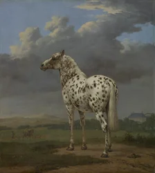 O Cavalo "Malhado", c.1650-4 (óleo sobre tela)