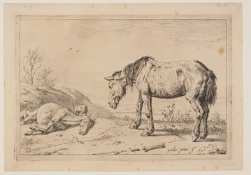 O Cavalo Desgastado, (La Mazette), de Série dos Cavalos