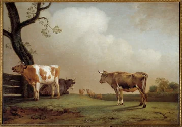 O prado Uma manada de vacas em um pré. Pintura de Paul Potter (1625-1654) 1652 Sol. 0,84x1,21 m