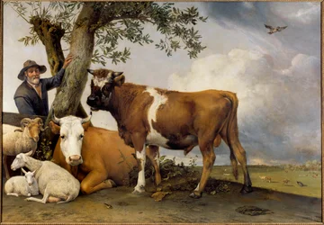 O jovem touro Um pastor e o seu gado, o Belier, o cordeiro, a vaca e o touro. Pintura de Paul Potter (1625-1654) 1647 Sol. 2,36x3,39 m Haia. Mauritshuis