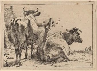Duas vacas vistas por trás