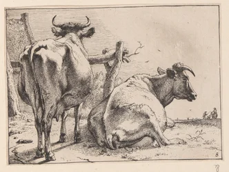 Duas vacas vistas por trás, de Vários bois e vacas