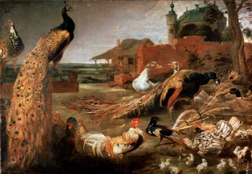 «Corvo em penas de pavão», c. 1615-1690