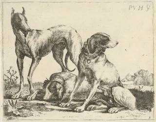 Três cães
Cães diferentes (título da série)