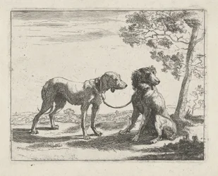Dois cães
Cães (título da série)