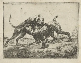 cães de briga