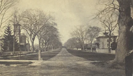Avenida Hillhouse, século XIX.