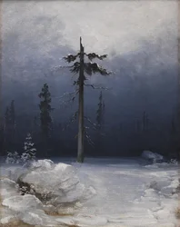 Árvore em uma floresta invernal