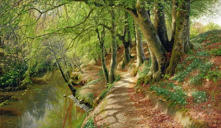 Paisagem de um rio arborizado (óleo sobre tela)