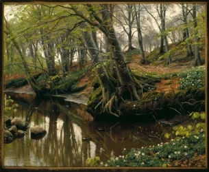 Dia de primavera na borda da floresta