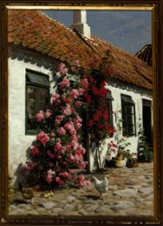 Escalada de rosas na fazenda