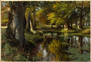 P. Mönsted, fim de verão junto ao ribeiro na floresta