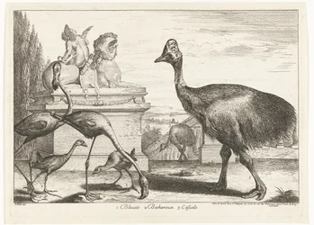 Casuares, galeirão roxo e flamingos 1. Bleuets 2 Becharoux 3. Casuels (título no objeto) Birds from the Menagerie of Versailles (título da série)