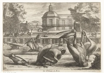 pelicanos des Pelicans de Mere (título no objeto) Birds from the Menagerie of Versailles (título da série)