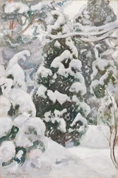 Zimbro na neve