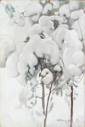 Mudas de pinheiro cobertas de neve