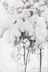 Mudas de pinheiro cobertas de neve