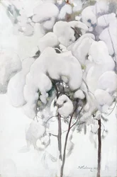 Mudas de pinheiro coberto de neve