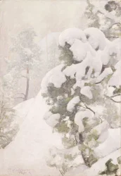 Paisagem de inverno