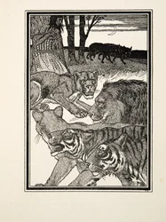 A Grateful Lioness, de A Hundred Anecdotes of Animals, pub. 1924 (gravura)