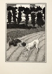 Enganando o Fowler, de cem anecdotes dos animais, bar. 1924