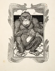 Abertura da ostra, de cem anecdotes dos animais, bar. 1924