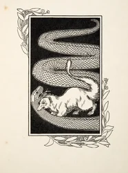 Snake Destroyers, de A Hundred Anecdotes of Animals, pub. 1924 (gravura)