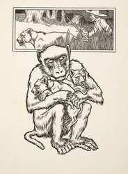 Solicitar Succour, de A Hundred Anecdotes of Animals, pub. 1924 (gravura)