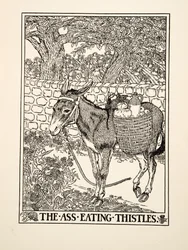 O burro comendo cardos, de cem fábulas de Esopo, pub.1903